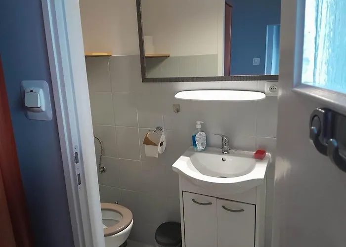 Accommodatie bij particulieren Dniestrzanka *